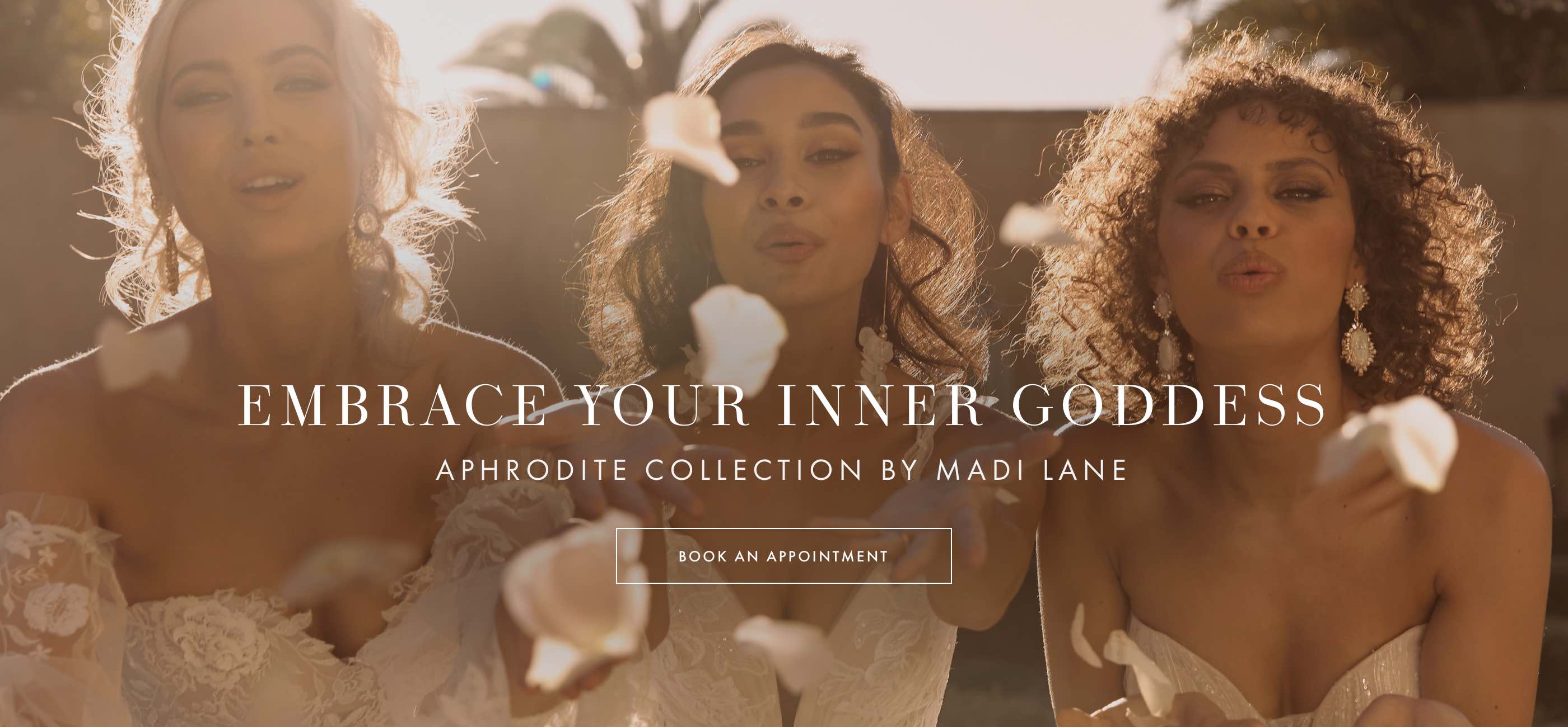 aimee bridal boutique